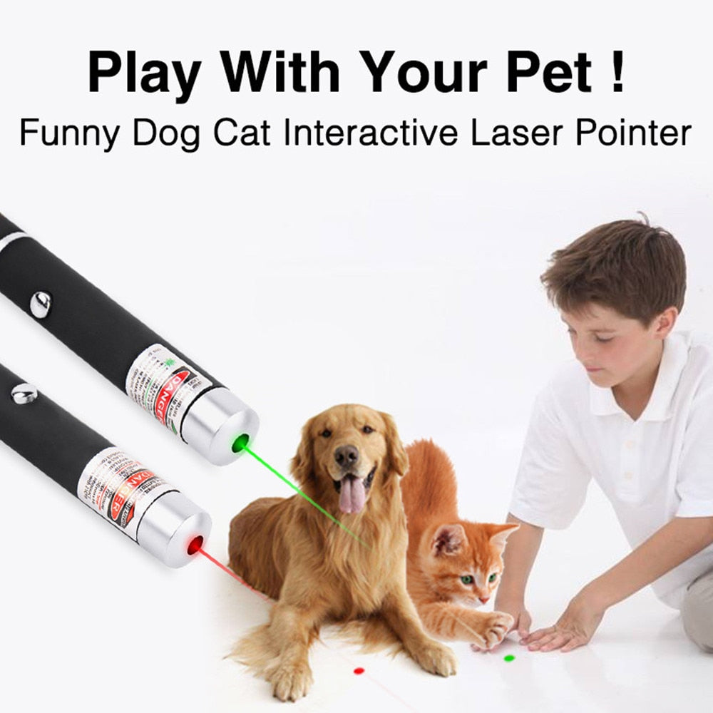 Pet Laser Pointer