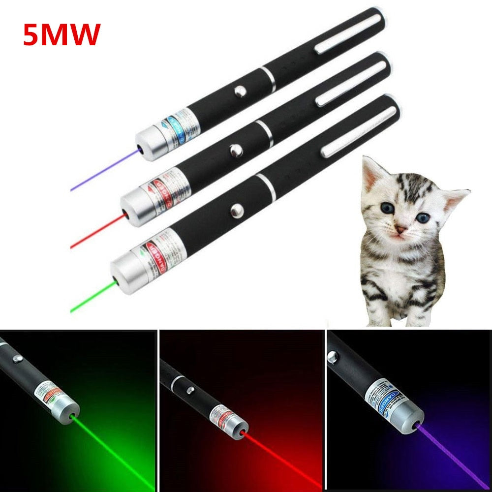 Pet Laser Pointer