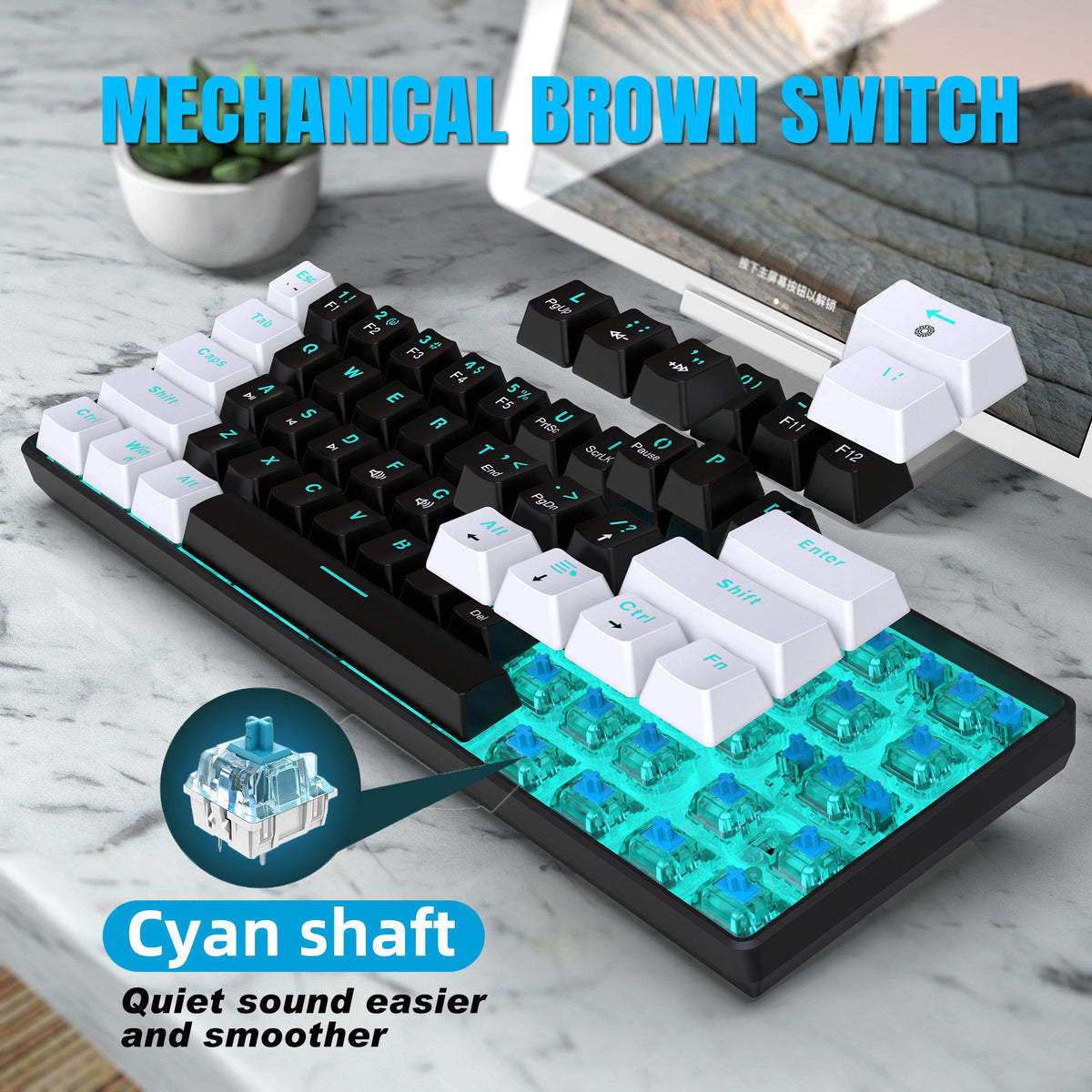 Mechanical Keyboard