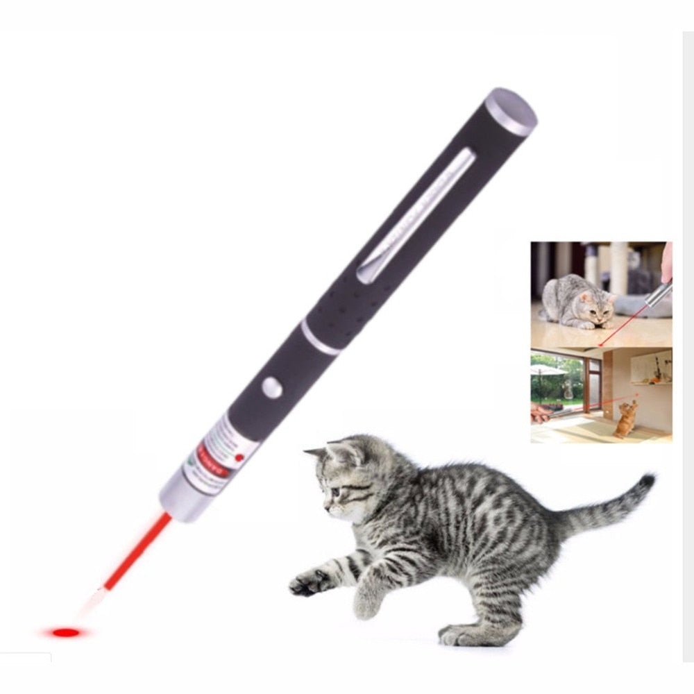 Pet Laser Pointer