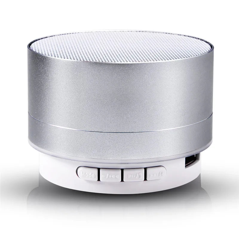 Mini Outdoor Speaker