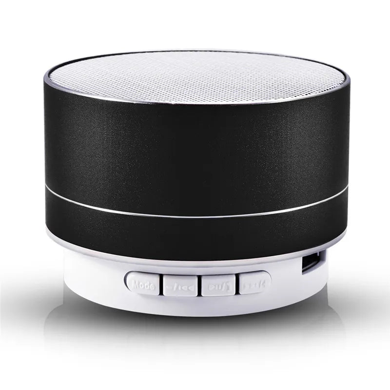 Mini Outdoor Speaker